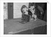Cat photographing with camera by Anonymous