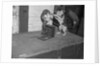 Cat photographing with camera by Anonymous