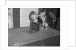 Cat photographing with camera by Anonymous