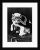 Cute little kitten dressed-up as sailor by Anonymous