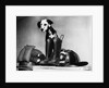 Dalmatian dog sitting next to fire fighter's gear by Anonymous