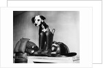 Dalmatian dog sitting next to fire fighter's gear by Anonymous