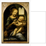 Leonardo da Vinci by Anonymous