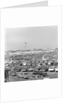 Crowded Parking Lots at JFK Airport by Anonymous