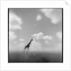 Giraffe, Masai Mara Game Reserve, Kenya by Anonymous