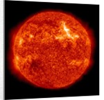 Solar Flare observed by NASA's Solar Dynamics Observatory (SDO), 1 of 3 by Anonymous