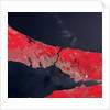 Satellite view of Istanbul, Turkey and the Bosporus strait by Anonymous