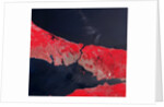 Satellite view of Istanbul, Turkey and the Bosporus strait by Anonymous