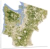 Satellite biomass map of western Washington State by Anonymous