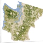 Satellite biomass map of western Washington State by Anonymous