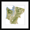 Satellite biomass map of western Washington State by Anonymous