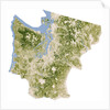 Satellite biomass map of western Washington State by Anonymous