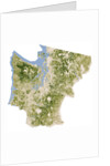 Satellite biomass map of western Washington State by Anonymous