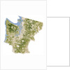 Satellite biomass map of western Washington State by Anonymous
