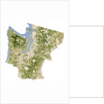Satellite biomass map of western Washington State by Anonymous