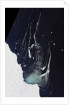 Satellite view of icebergs off the Amery Ice Shelf in Antarctica by Anonymous