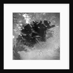 Satellite view of the Aral Sea in 1964 by Anonymous