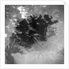 Satellite view of the Aral Sea in 1964 by Anonymous