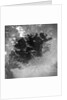 Satellite view of the Aral Sea in 1964 by Anonymous