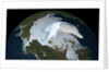 Satellite image showing the loss of multi-year sea ice in the Arctic Ocean in 2012 by Anonymous