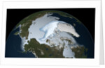 Satellite image showing the loss of multi-year sea ice in the Arctic Ocean in 2012 by Anonymous