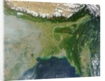 Satellite view of Bangladesh and the Ganges-Brahmaputra Delta by Anonymous