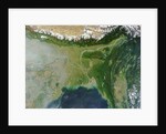 Satellite view of Bangladesh and the Ganges-Brahmaputra Delta by Anonymous