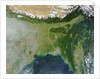 Satellite view of Bangladesh and the Ganges-Brahmaputra Delta by Anonymous