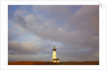 sunrise Yaquina Head Lighthouse. Oregon Coast, Pacific Ocean, Pacific Northwest by Anonymous
