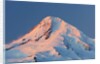 winter sunrise adds beuty to Mt. Hood, Hood River Valley, Oregon, Pacific Northwest. by Anonymous