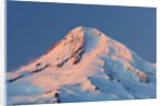 winter sunrise adds beuty to Mt. Hood, Hood River Valley, Oregon, Pacific Northwest. by Anonymous