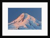winter sunrise adds beuty to Mt. Hood, Hood River Valley, Oregon, Pacific Northwest. by Anonymous