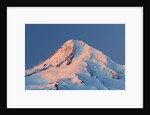winter sunrise adds beuty to Mt. Hood, Hood River Valley, Oregon, Pacific Northwest. by Anonymous