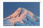winter sunrise adds beuty to Mt. Hood, Hood River Valley, Oregon, Pacific Northwest. by Anonymous