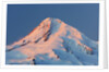 winter sunrise adds beuty to Mt. Hood, Hood River Valley, Oregon, Pacific Northwest. by Anonymous