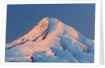 winter sunrise adds beuty to Mt. Hood, Hood River Valley, Oregon, Pacific Northwest. by Anonymous