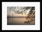 Sunrise over Tidal Basin by Anonymous