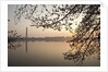 Sunrise over Tidal Basin by Anonymous