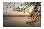 Sunrise over Tidal Basin by Anonymous