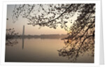 Sunrise over Tidal Basin by Anonymous