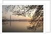 Sunrise over Tidal Basin by Anonymous