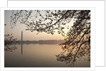 Sunrise over Tidal Basin by Anonymous