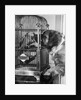 Dog looking at parrot in cage by Anonymous