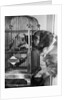 Dog looking at parrot in cage by Anonymous