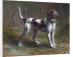 A Limier Briquet Hound by Rosa Bonheur