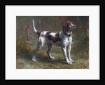 A Limier Briquet Hound by Rosa Bonheur