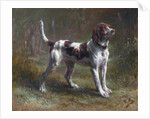 A Limier Briquet Hound by Rosa Bonheur