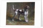 A Limier Briquet Hound by Rosa Bonheur