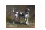A Limier Briquet Hound by Rosa Bonheur
