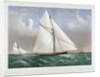 Cutter Genesta, R.Y.S. by C.R. Parsons